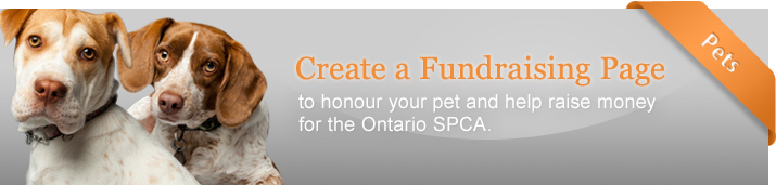 Create a Fundraising Page to honour your pet and help raise money for the Ontario SPCA
