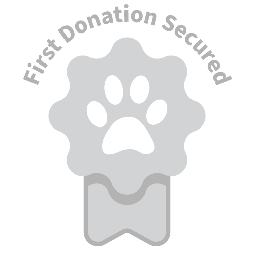 First donation Badge