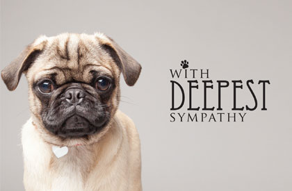 With Deepest Sympathy Dog card