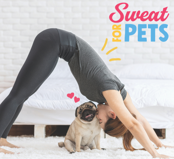Sweat for Pets Facebook Post 2021
