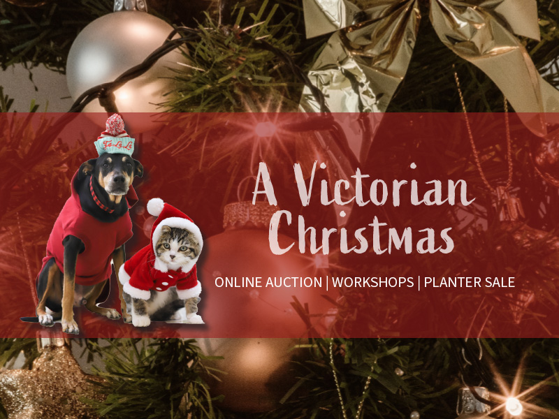 victorian christmas gallery