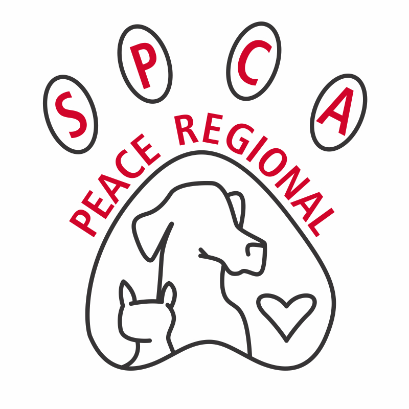 Peace Regional Logo