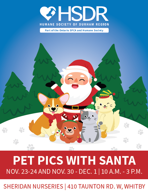 Screenshot petpicswithsanta.png