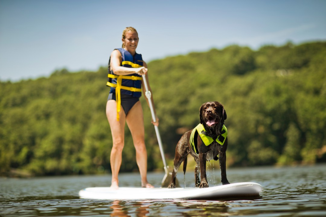 paddle board dog.jpg