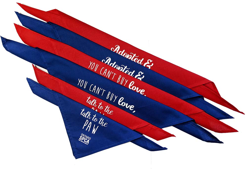  Pet Bandana Bundle 