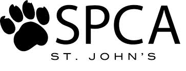 St.Johns logo