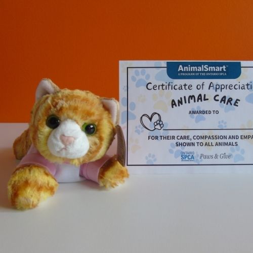 Click here for more information about Animal Smart Stuffy - Peaches the Cat