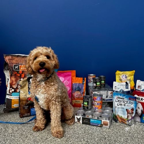 Click here for more information about Pet Food Pantry