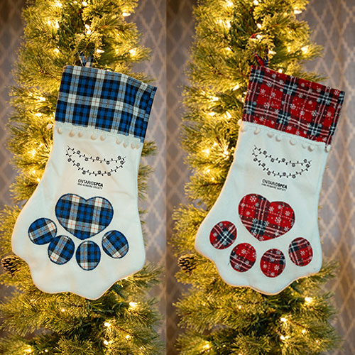 Click here for more information about Holiday Pet Stocking