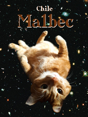 An example of a custom label of our super fantastic rescue cat Malbec :)