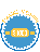 TeamRaiser Achievement Badge