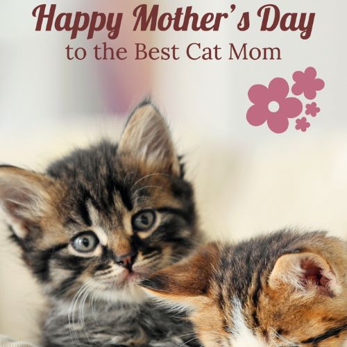 eCard - Mother's Day - Cat Mom