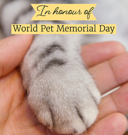 World Pet Memorial Day 2022 - Cat
