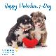 eCard - Happy Valentine's Day (Puppy)