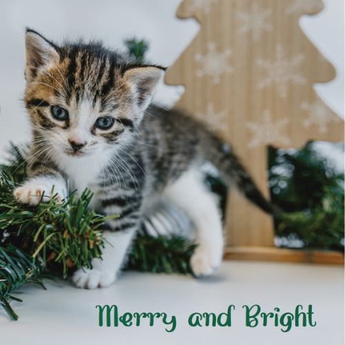 eCard - Merry and Bright